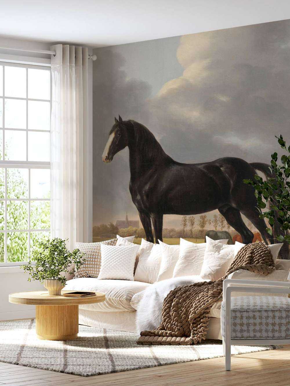 Photo wallpaper horse. The harddrawer De Vlugge