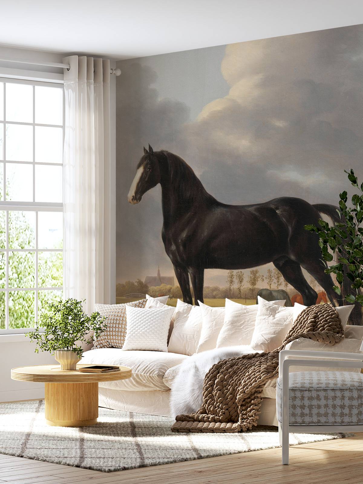 Photo wallpaper horse. The harddrawer De Vlugge