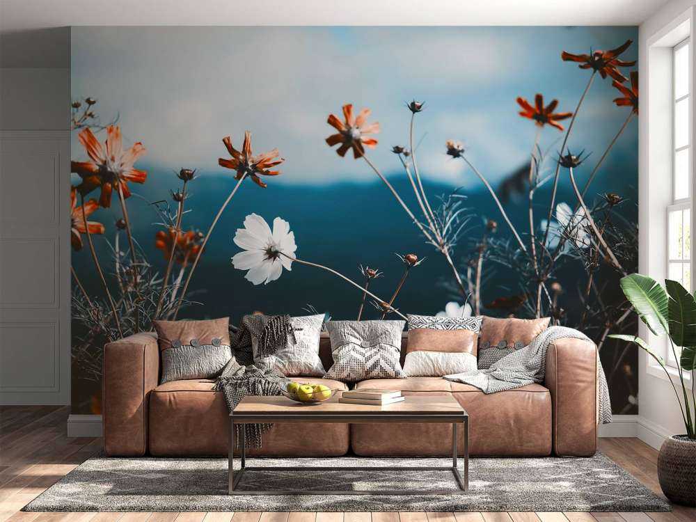 Cosmos flowers in the field