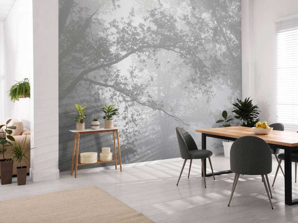 Beautiful forest in the fog