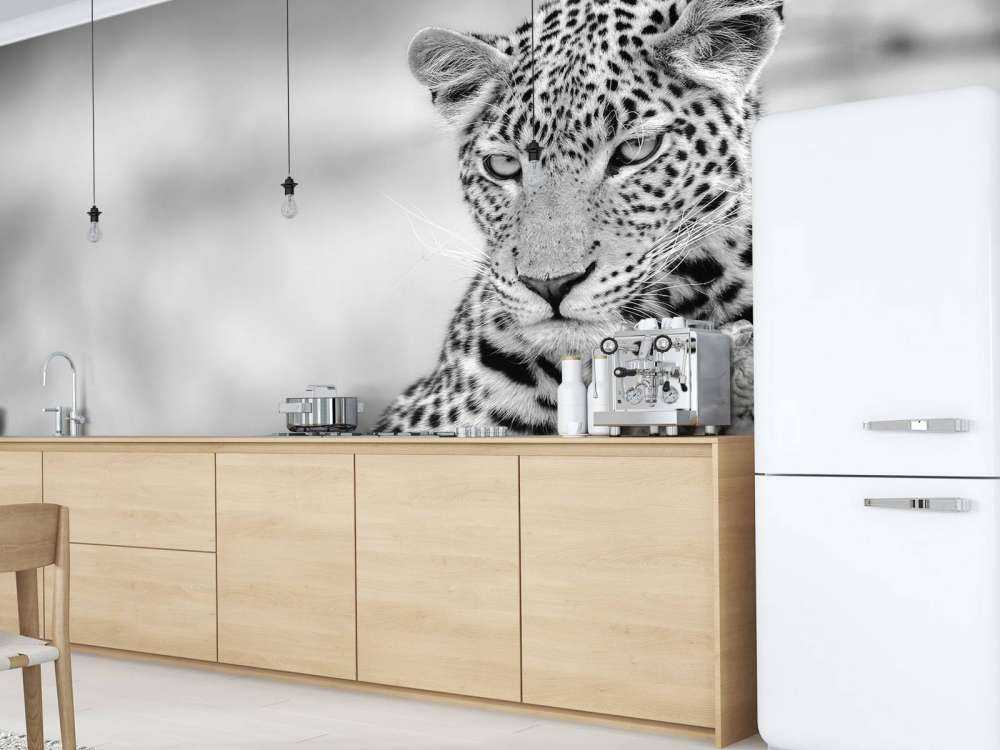 Leopard black, white