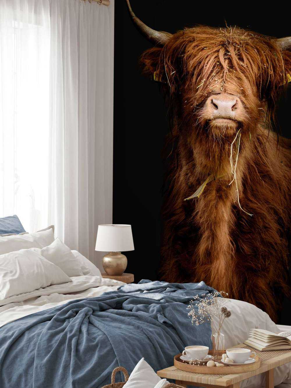 Portrait&#x20;Scottish&#x20;Highlander