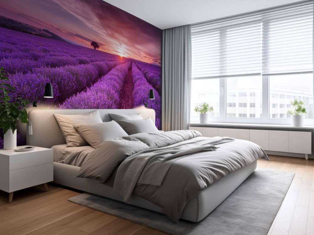 Field full with lavender