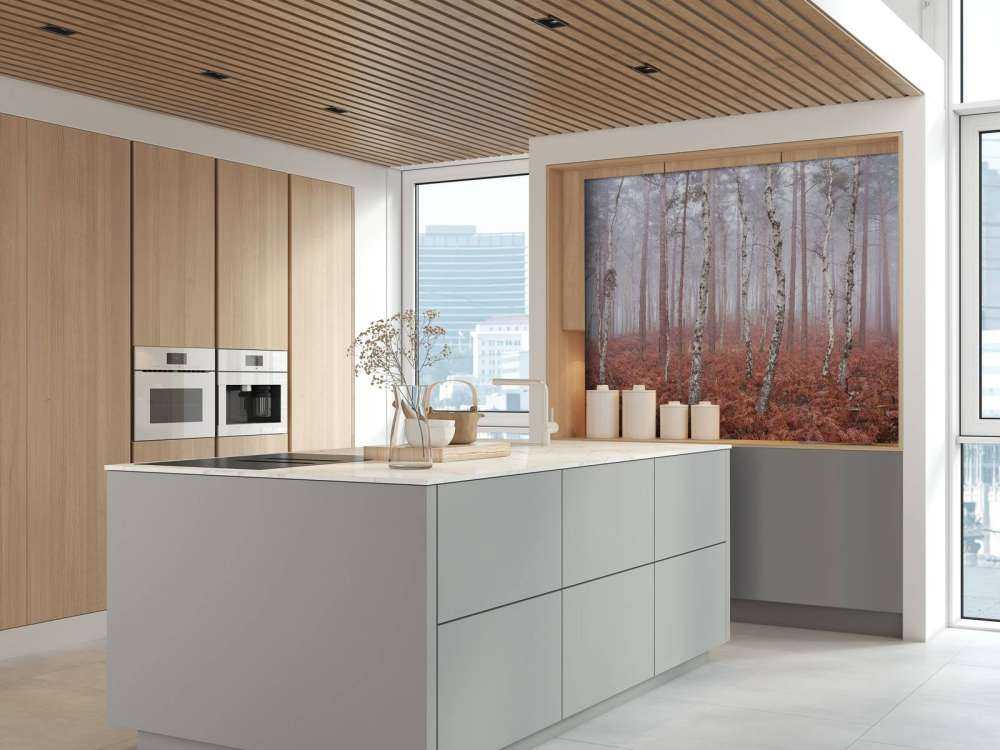 Deserted foggy forest