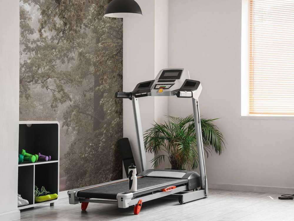 Path through misty forest