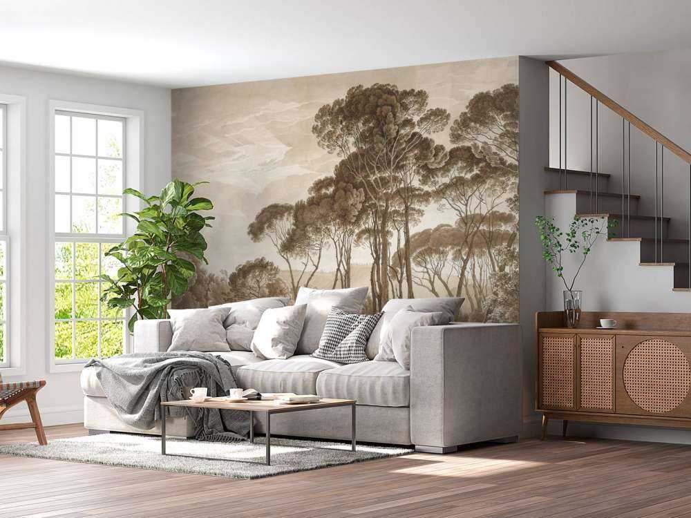 Forest landscape near Rome with setting sun