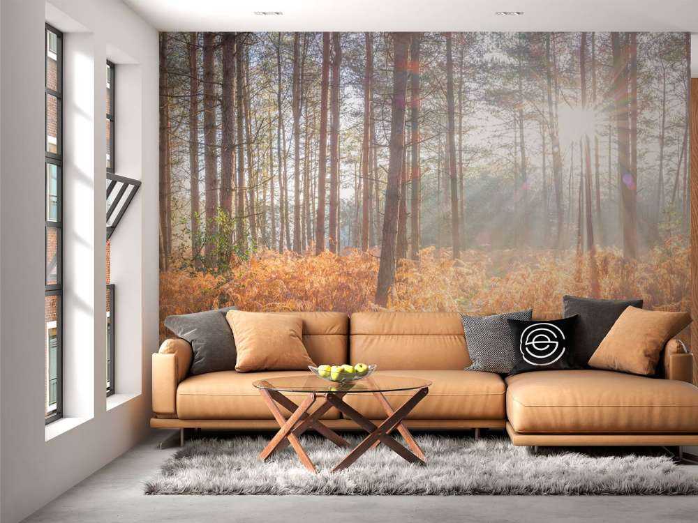 Sun rays through the forest