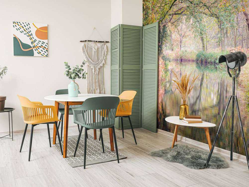 Covered colorful forest