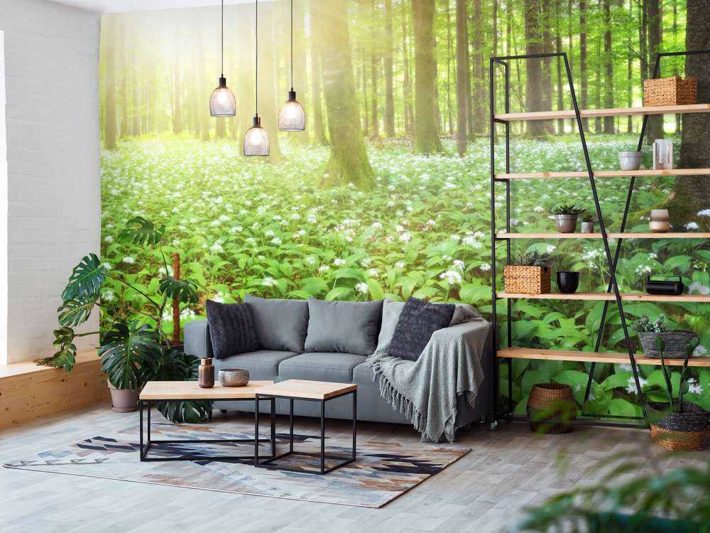 Wild forest at sunrise