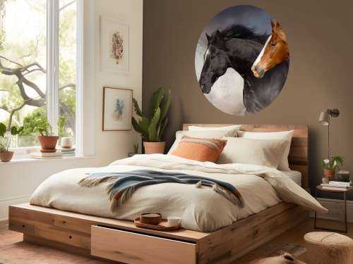 Herd of horses