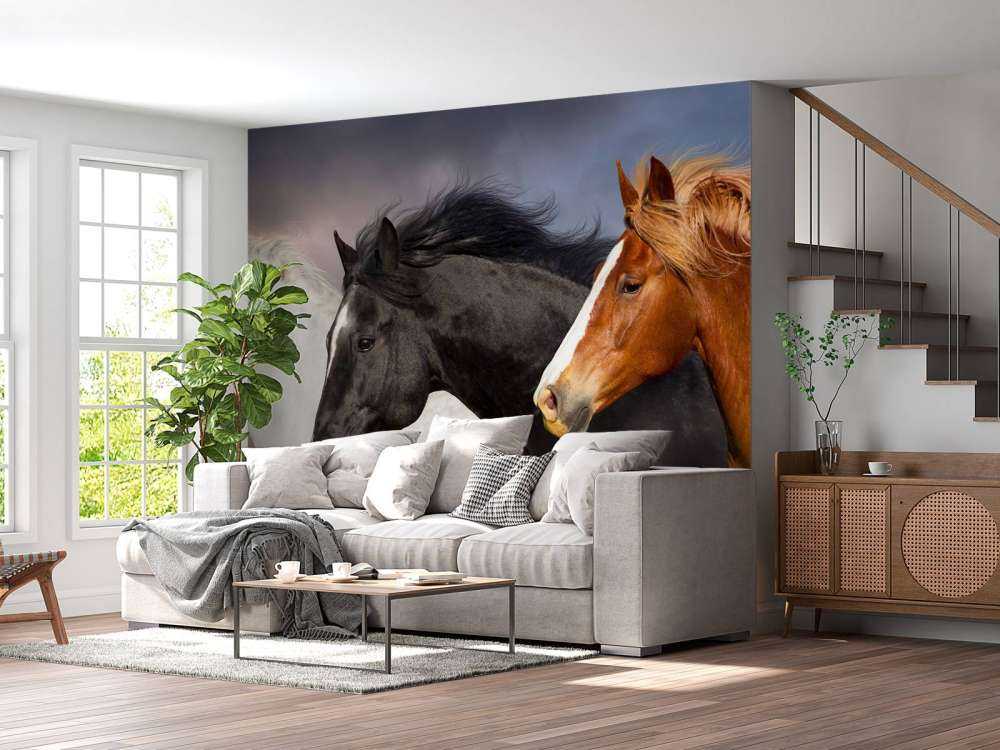 Herd of horses