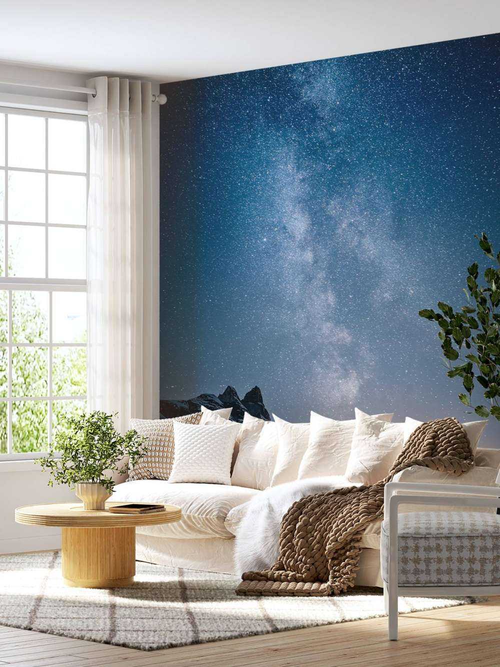 Starry sky in Alaska