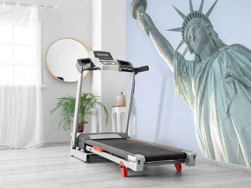 Statue of Liberty