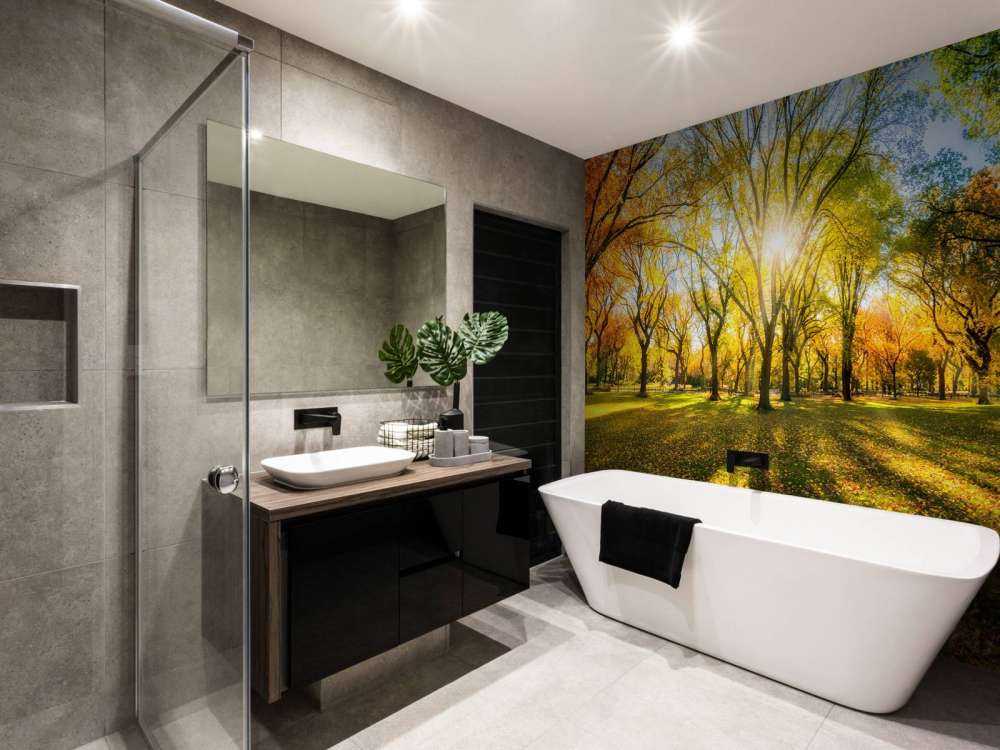 Colourful autumn forest