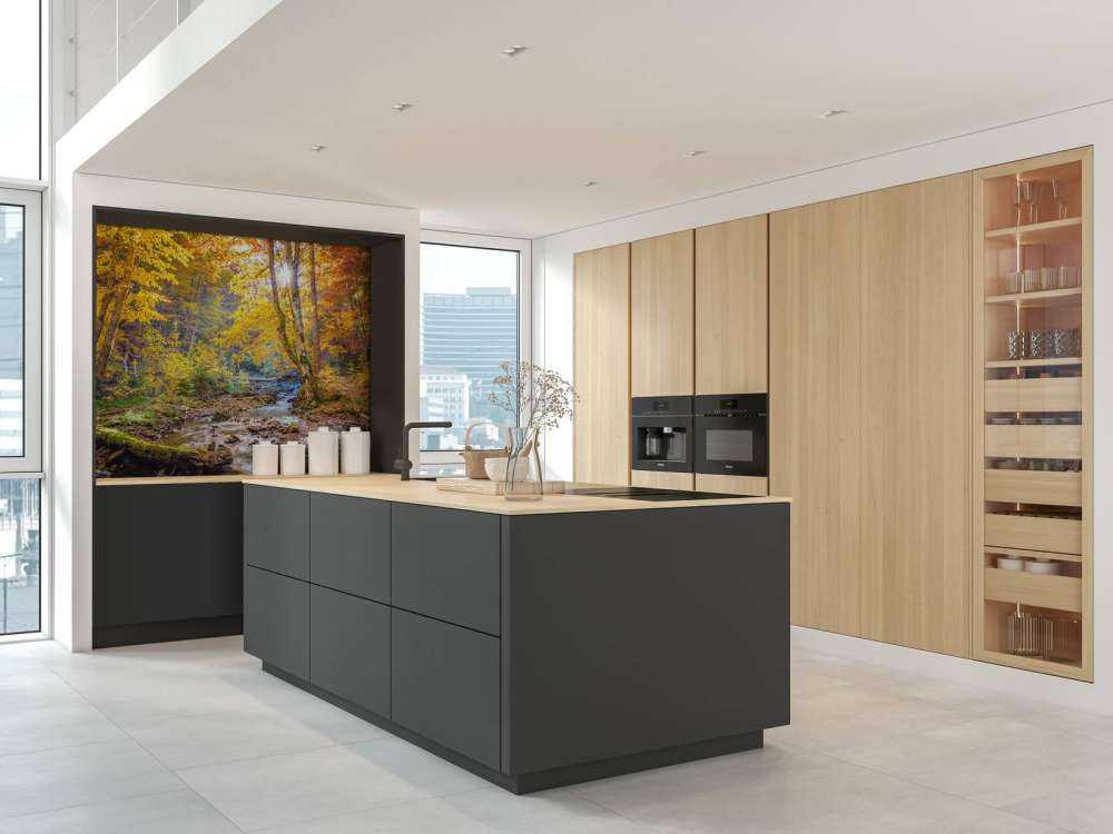 Autumn in wild forest