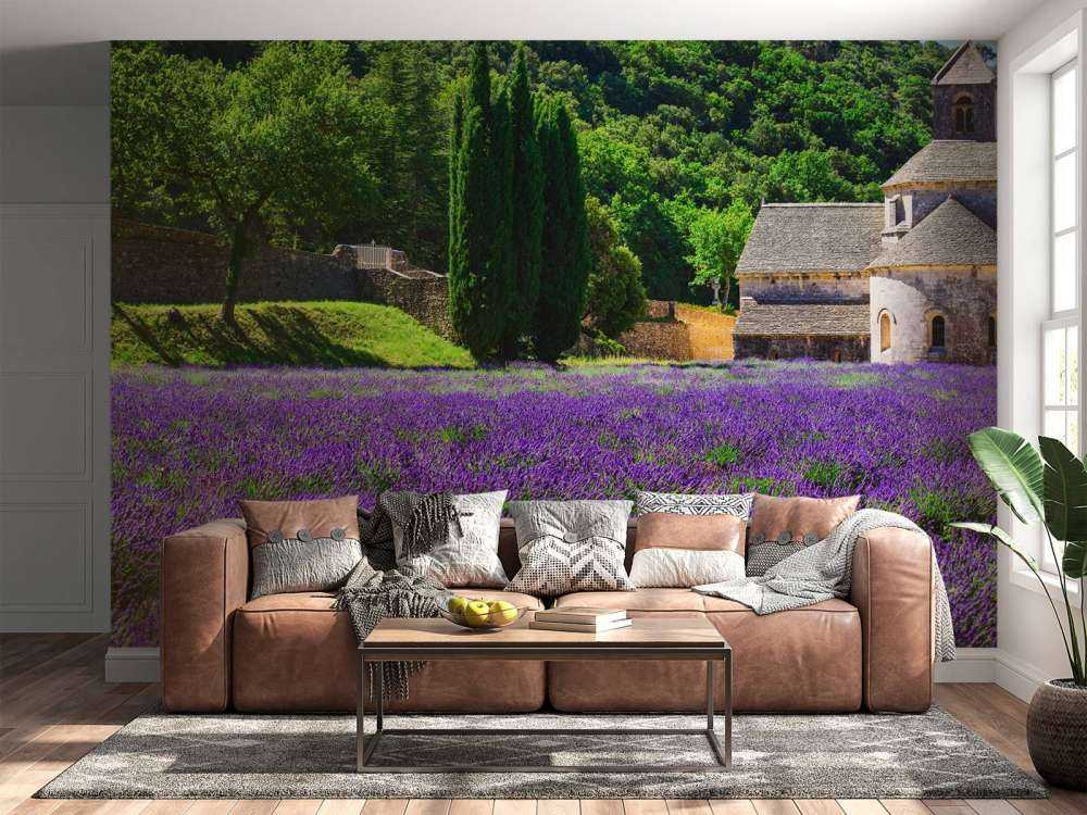 Fairy lavender field