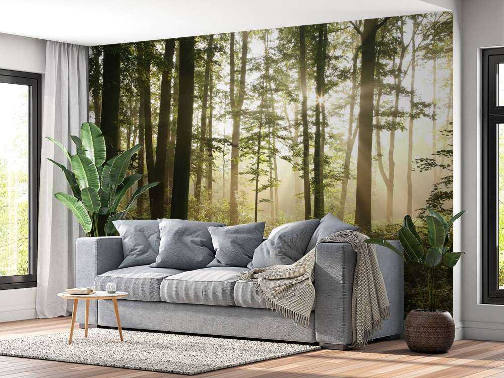 Foggy deciduous forest