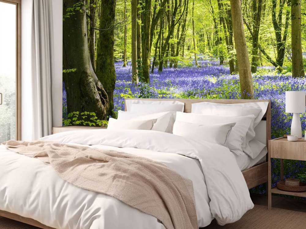 Forest in the sunlight