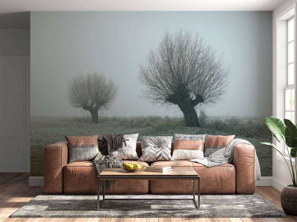 Pollard willows in the fog