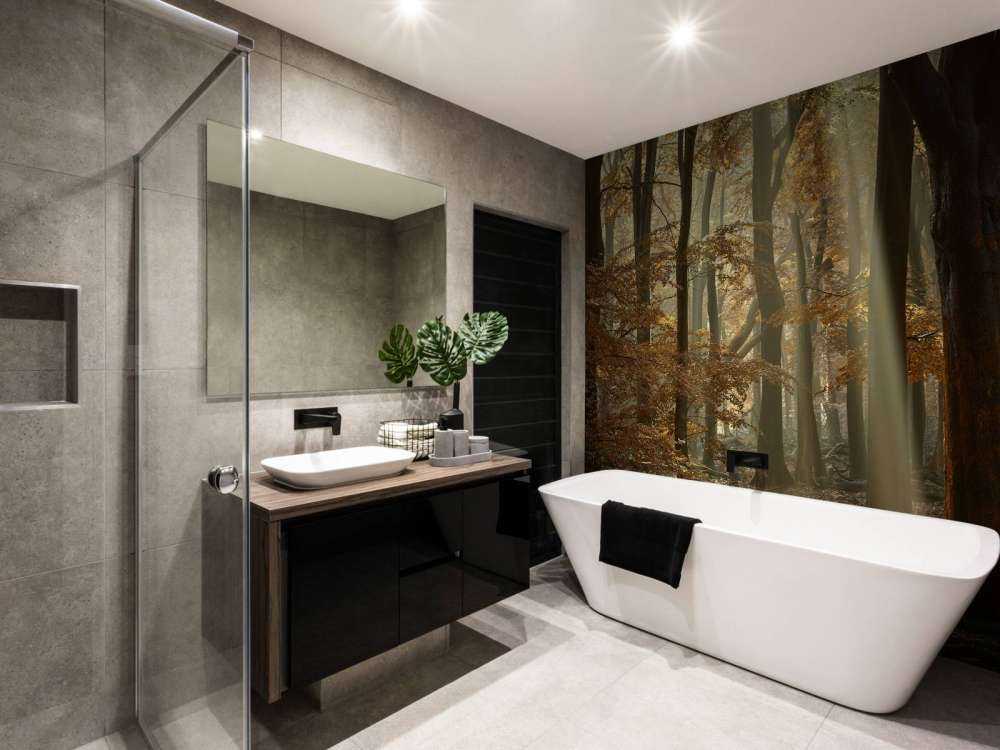 Autumn colours in the forest