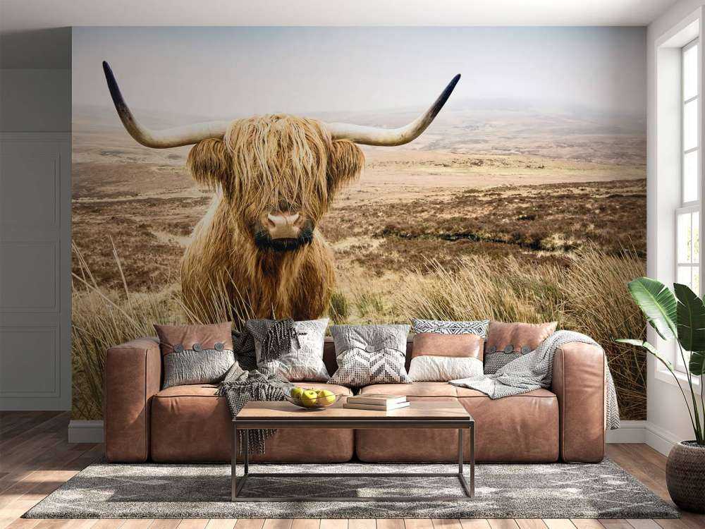 Scottish Highlander with reed