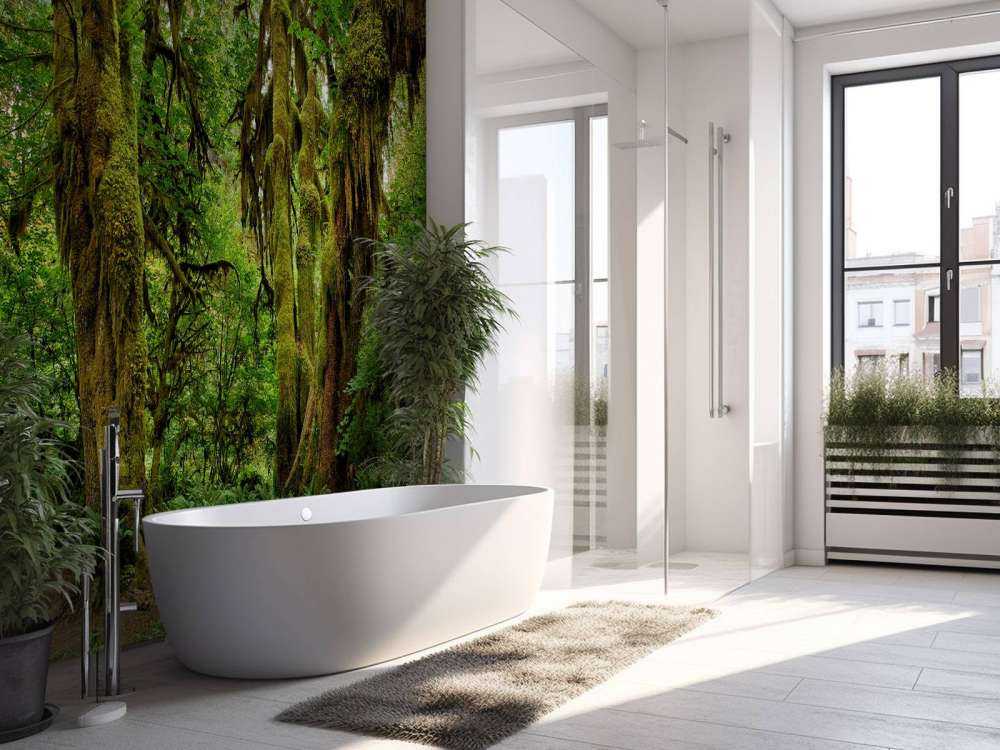 Old wilderness forest