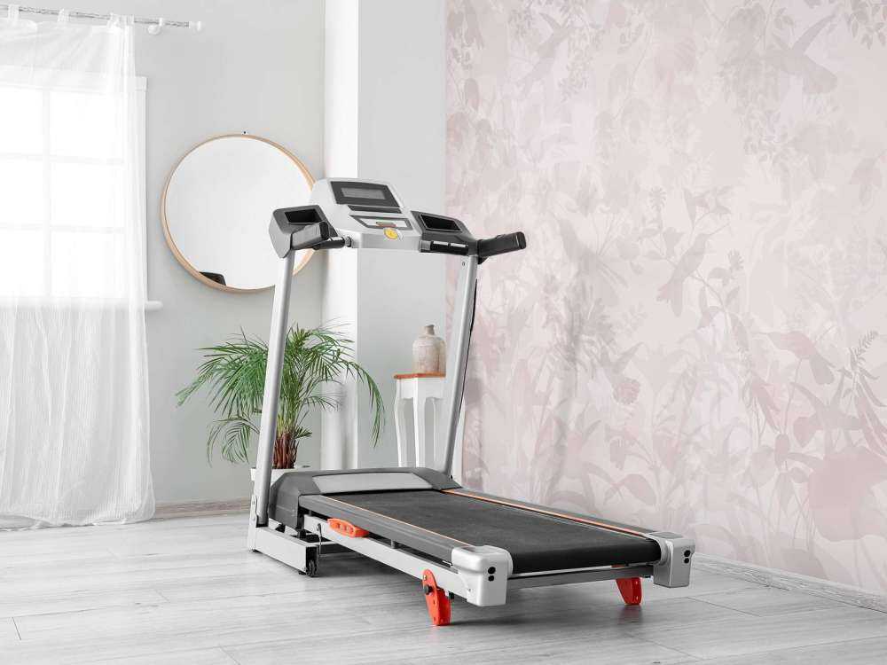 Garden Symphony in Pink