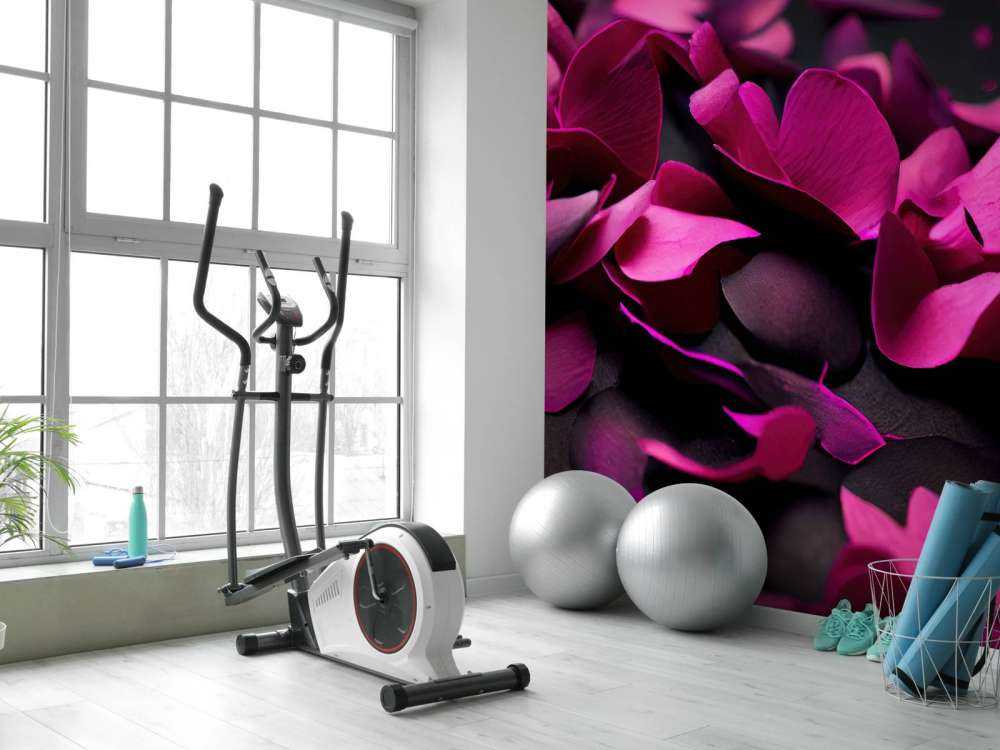 Dark pink hydrangeas