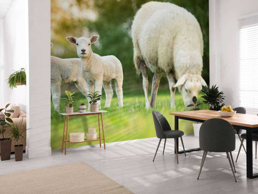 Mother sheep with lambs