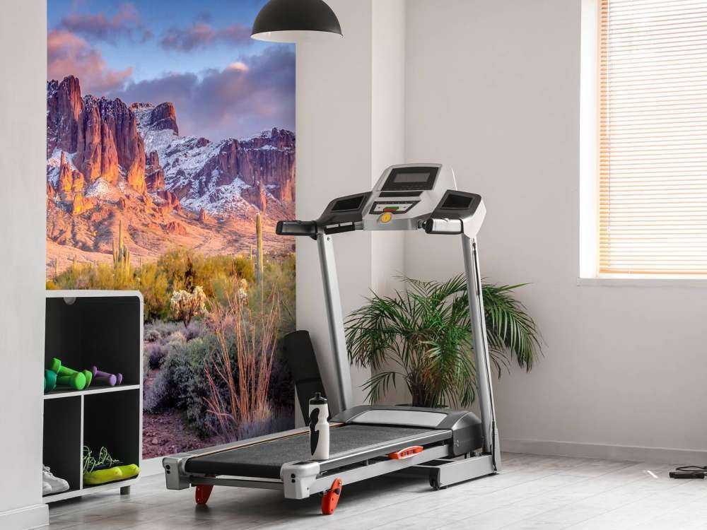 Cactus in a mountain landscape