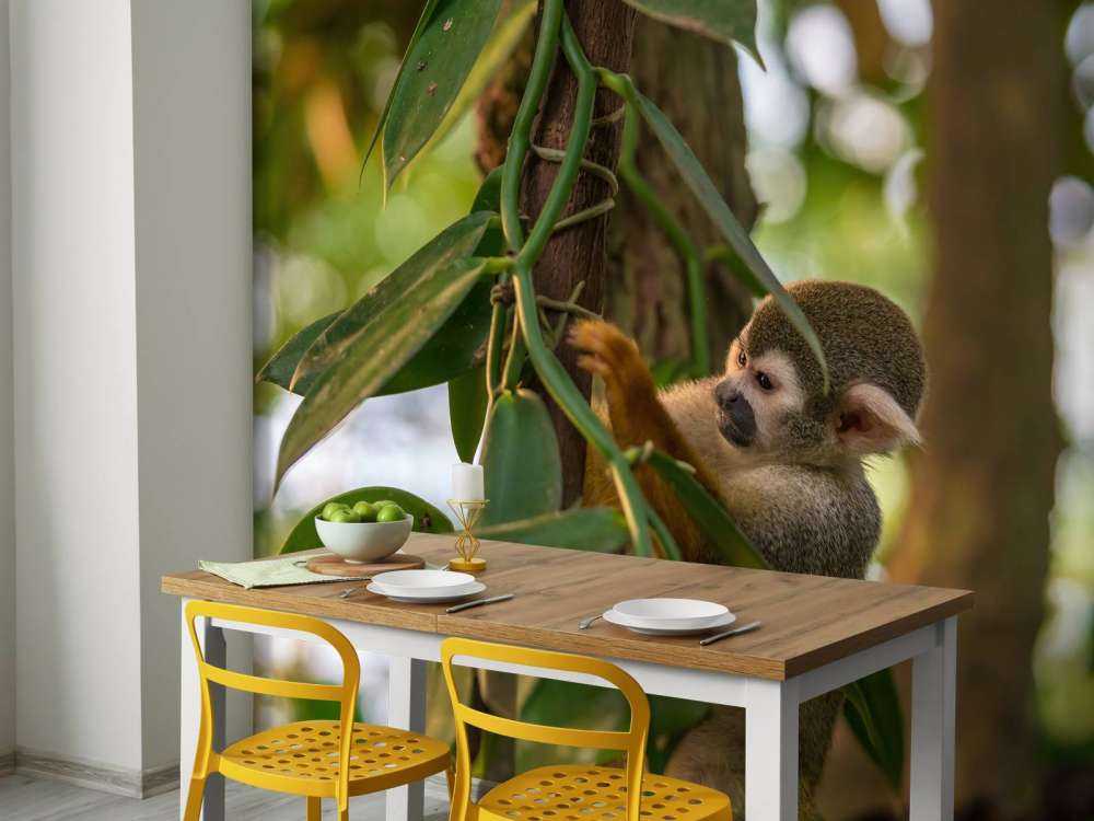 Small monkey in the trees