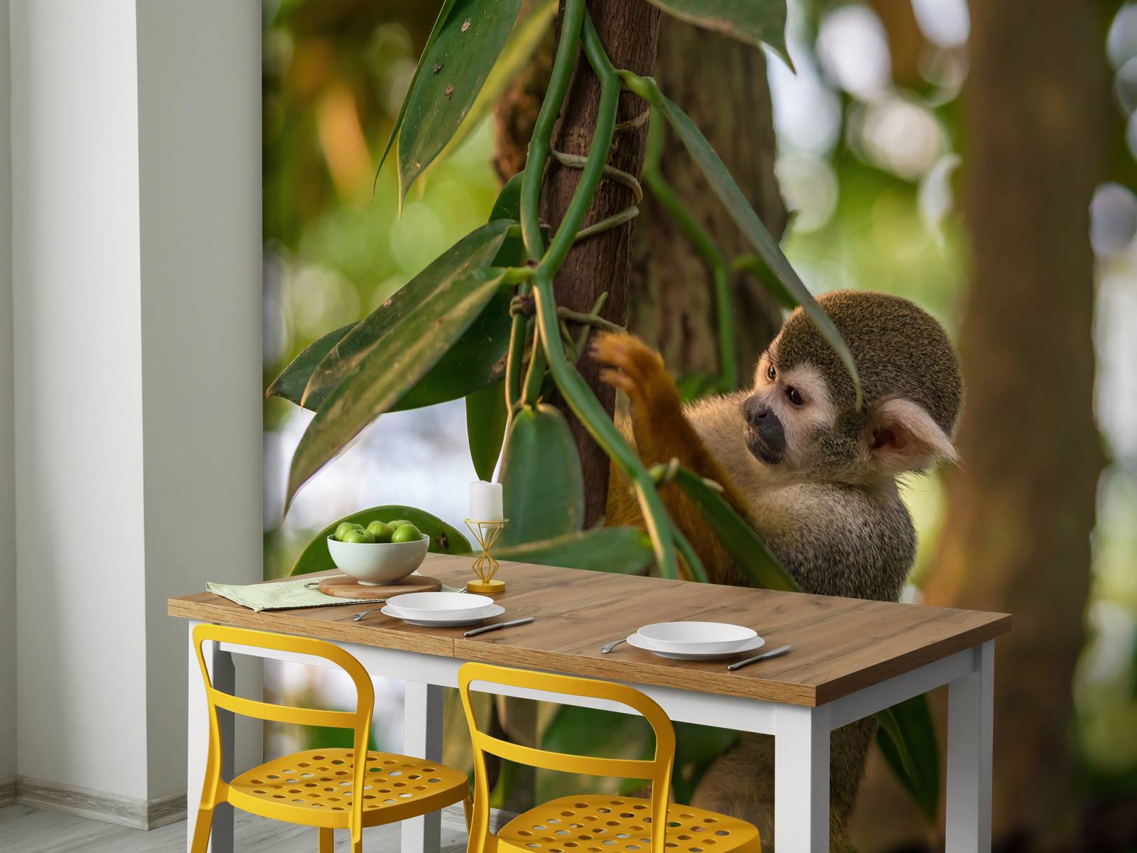 Small monkey in the trees