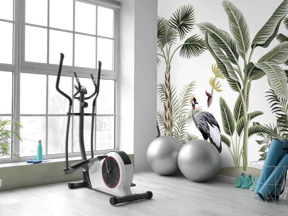 Kraanvogels in de jungle