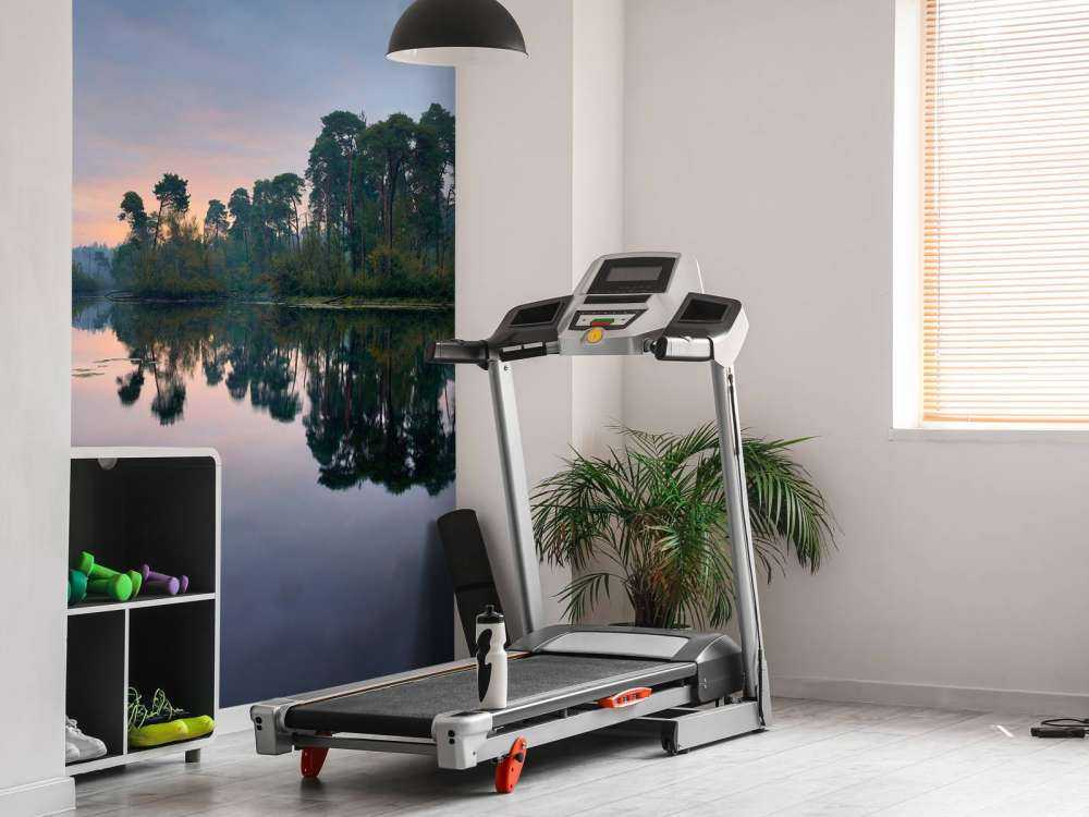 Reflection in forests at sunrise