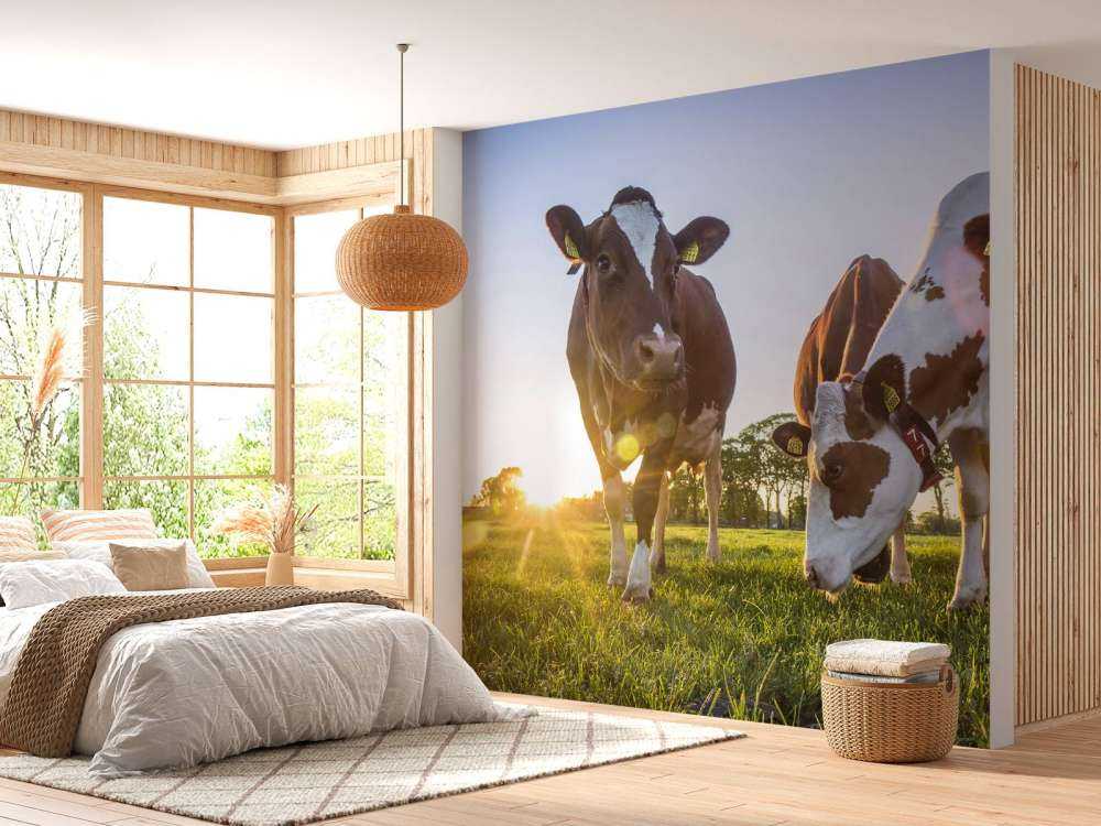 Cows wallpaper