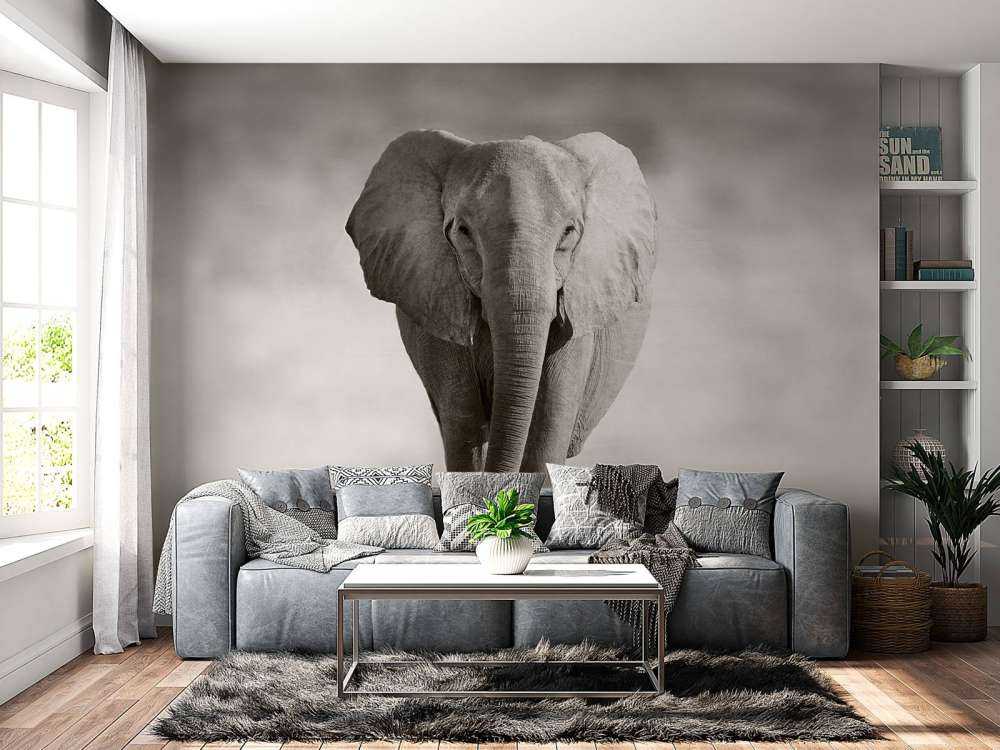Beautiful elephant
