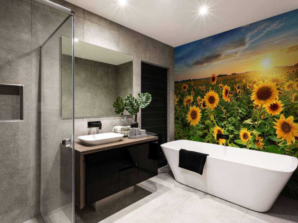 Beautiful field of sunflowers