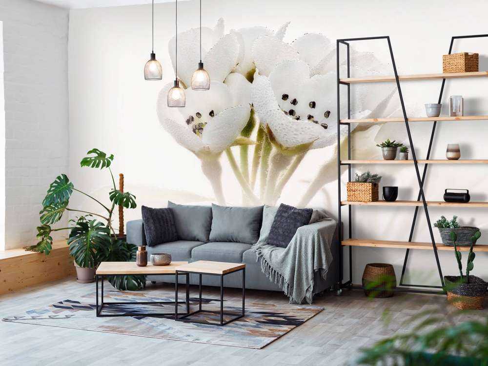 Pear blossom close-up