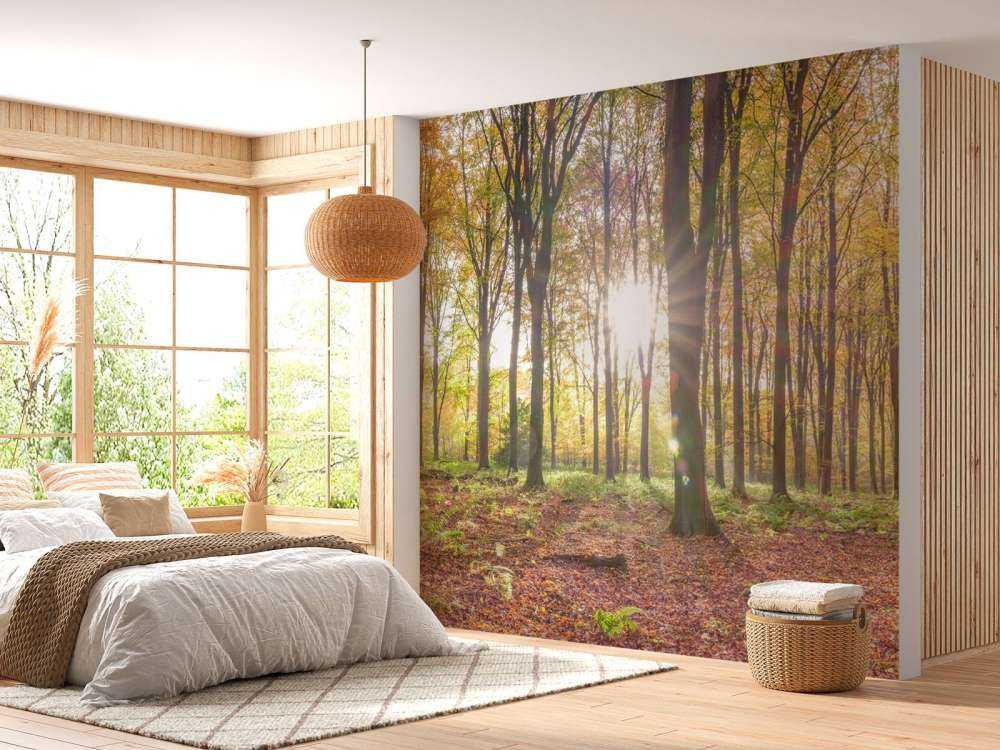 Sunlight through autumn forest