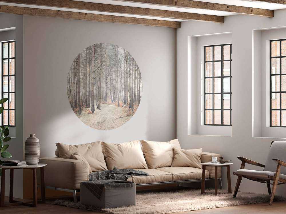 Sand path through forest