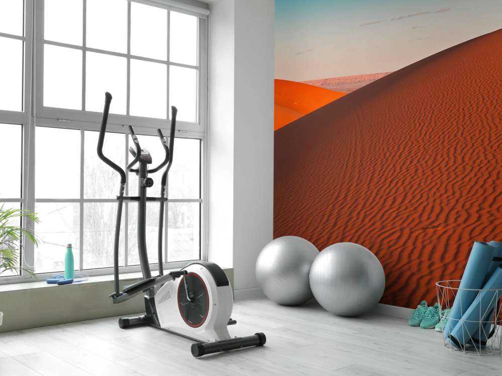 Sand dunes in the Sahara desert