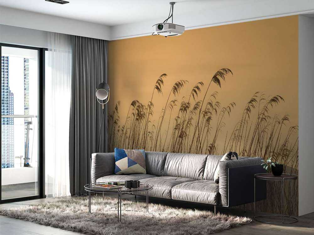 Reed along the waterfront