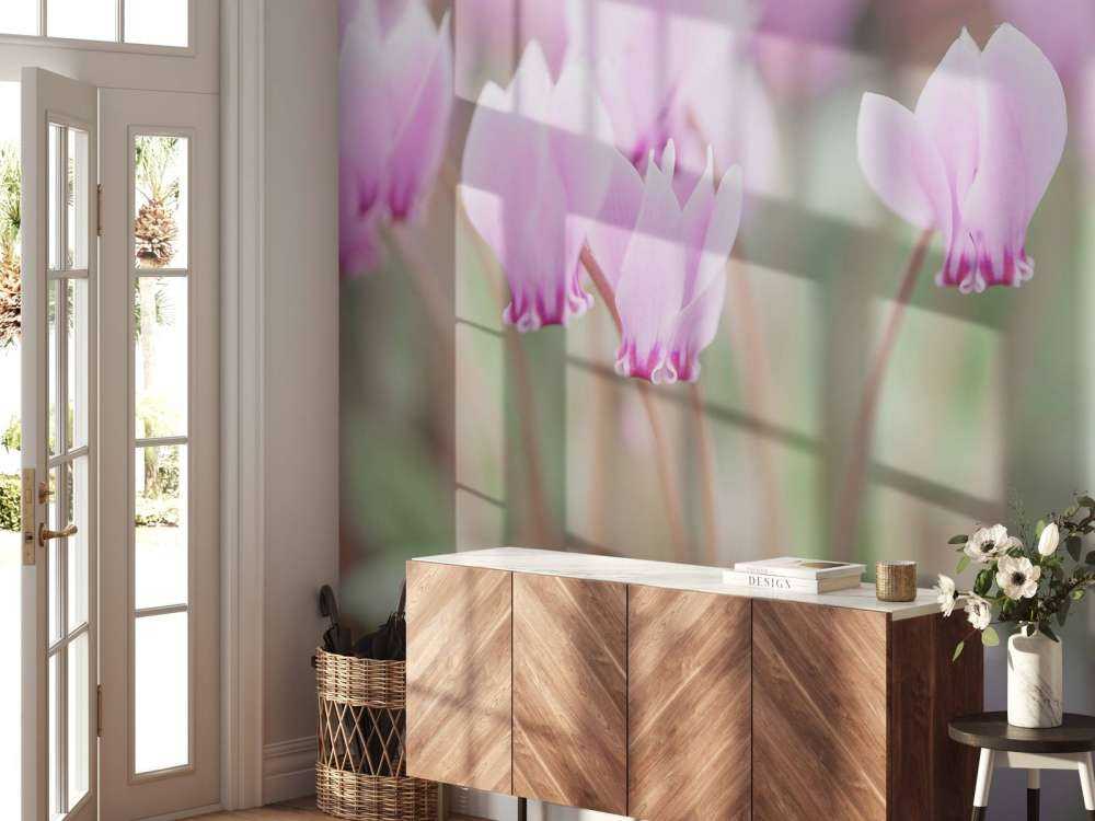 Beautiful ivy flowers