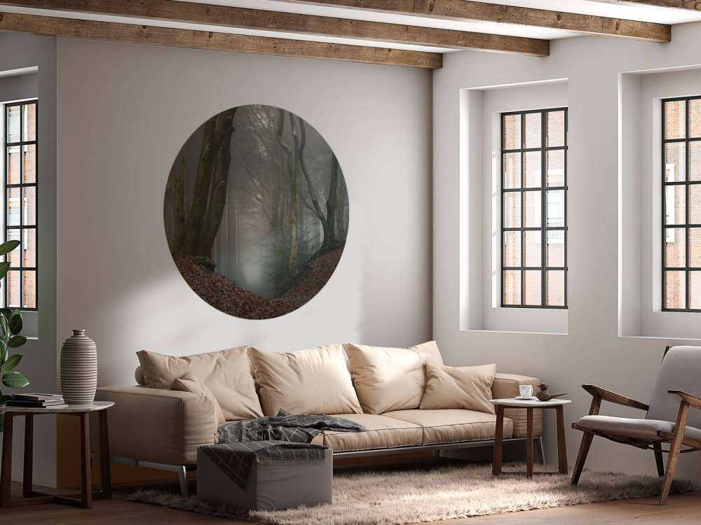 Path through mysterious forest