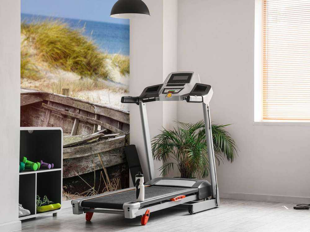 Old fishing boat, seagulls, beach and sea