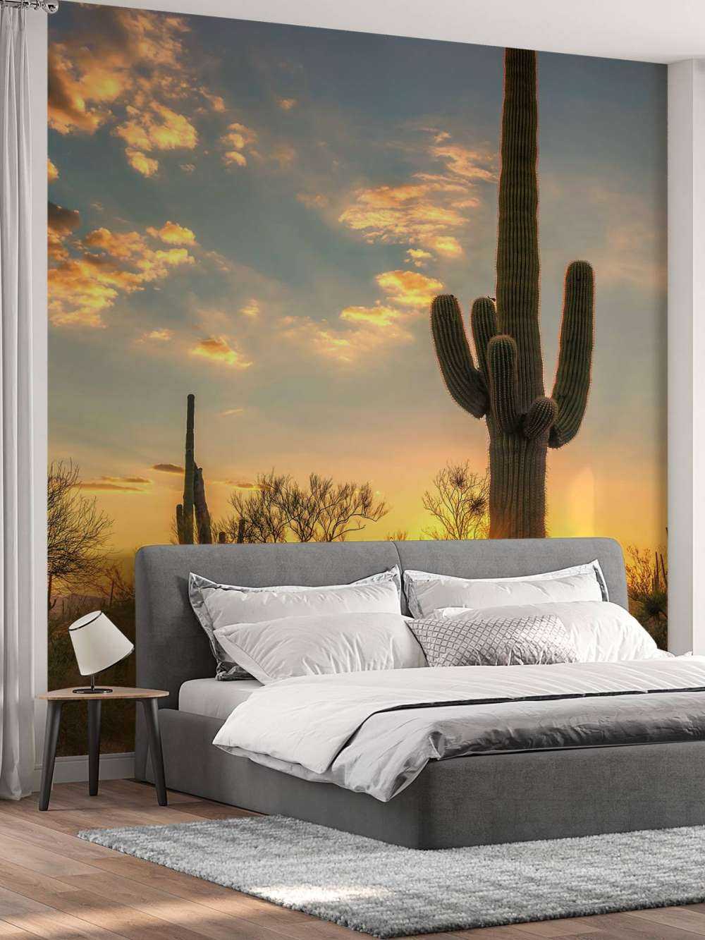 Cactus at sunset