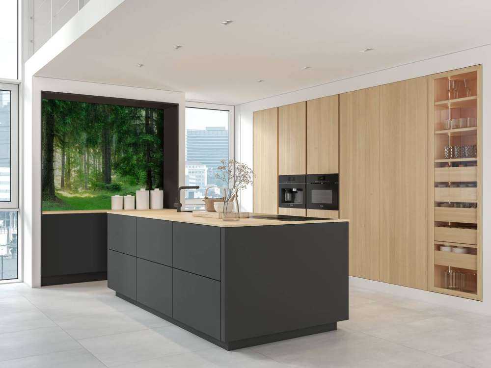 Green conifers forest