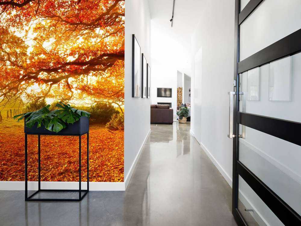 Autumn landscape with forest and meadow