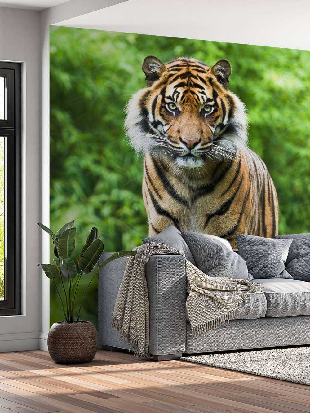 Tiger standing on a stone