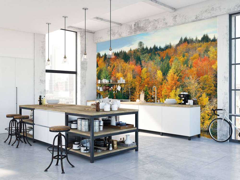 Lake with autumn trees